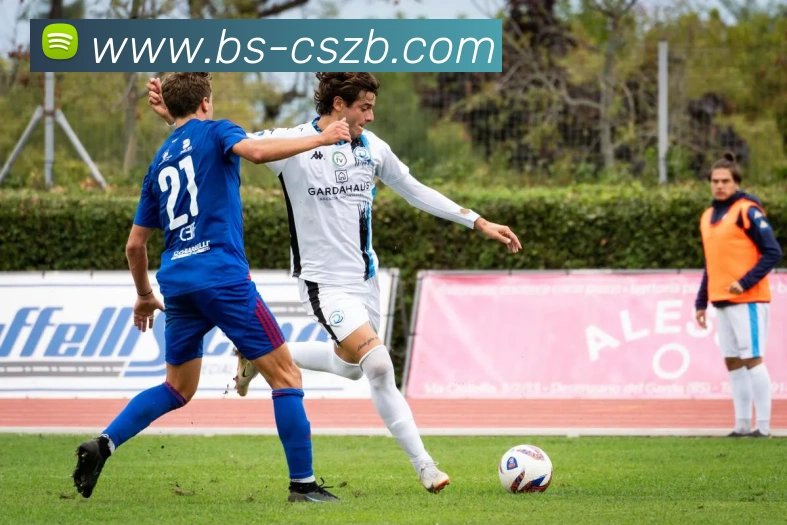 彩神争霸服务体系