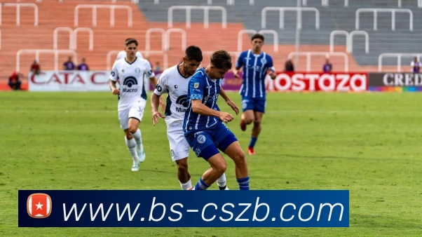 奖项证书